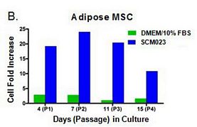 Human Mesenchymal-LS Expansion Medium