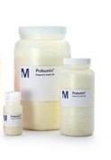 Probumin -  BSA - Bovine Serum Albumin Fraction V - Life Science Grade 100g