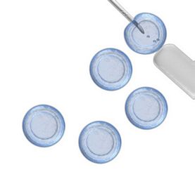 Human mesenchymal stem cell kit