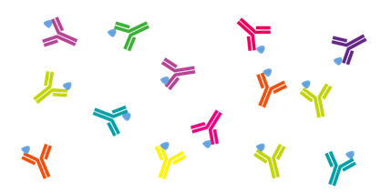 Bulk & Custom Antibodies